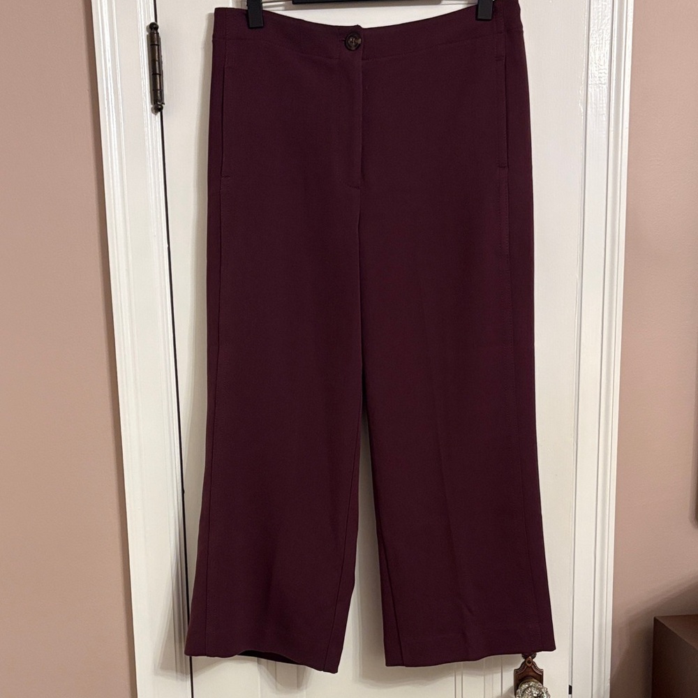 Ann Taylor Wide Leg Deep Plum Color Ankle Length Women's Pants